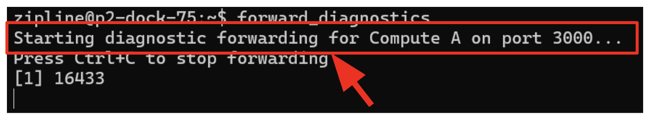 Terminal running the forward_diagnostics command
