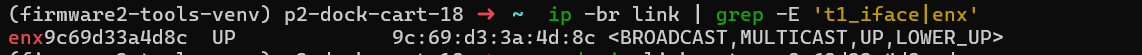 Unexpected enx interface output
