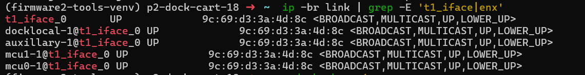 Expected t1 interface output