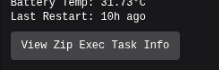 Wrangler View Zip Exec Task Info button.