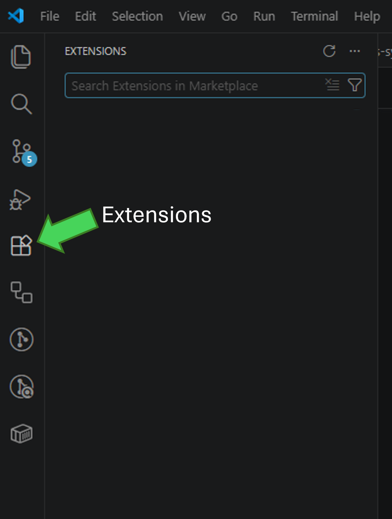 Visual Studio Code with the Extensions view selected in the Activity Bar.